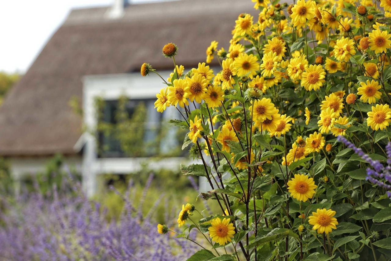 Kapitaensweg 15 Villa Karlshagen ภายนอก รูปภาพ